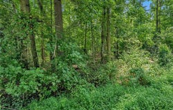 Raven Oak Drive, Wilkesboro, NC 28697