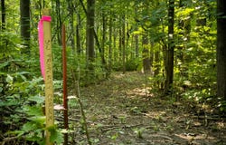 Turtle Lake Dr NW lot: 2, Walker, MN 56484