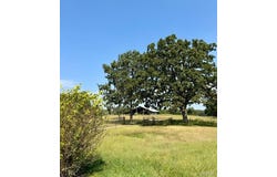 4608 Elk Head Road, Bland, MO 65014
