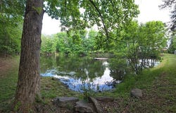 1984 Horseshoe Road, Westfield, NC 27053