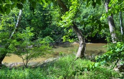 29 BLUFF Trail, GERRARDSTOWN, WV 25420