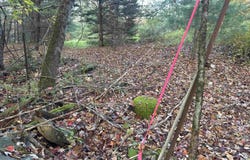 Hodge Hill Road lot: 58, Lisbon, NH 03585