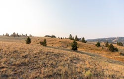 Ski Area Loop lot: 21, Butte, MT 59701