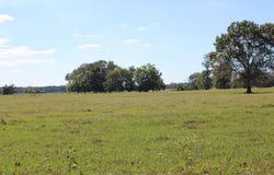 634 County Rd 767, Nacogdoches, TX 75964