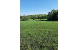 1535 W Elderberry Lane, Brighton, MO 65617