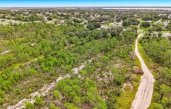 443 PARROT Avenue, SEBRING, FL 33870