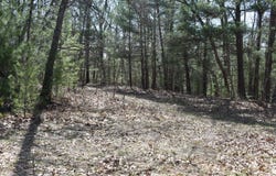 S Walhalla Road, Fountain, MI 49410