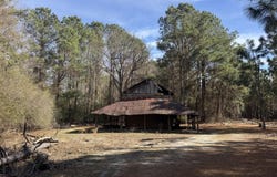 Butler Mill Road, Bladenboro, NC 28320