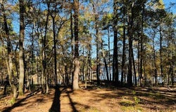174 Whispering Pines Rd, Milam, TX 75959