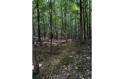 Lakewood Lake Ln, Huntingdon, TN 38344