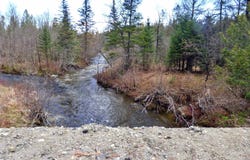 Spar Hawk Road, Wheelock, VT 05851