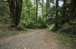 38610 NE ROTSCHY Rd, Yacolt, WA 98675