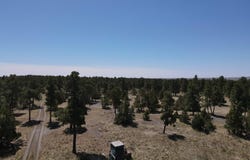 Pine Avenue, Upton, WY 82730