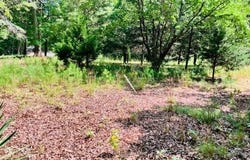 3599 Skipwith Rd, Boydton, VA 23917