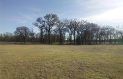 County Road 231, Centerville, TX 75833
