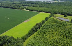 20 ACRES LIBERTY Rd, Moscow, TN 38057