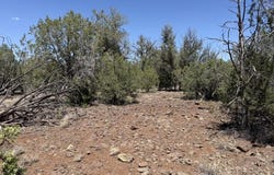 5589 N Randall Boulevard, Williams, AZ 86046