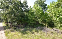 Deckard Road, Fordland, MO 65652