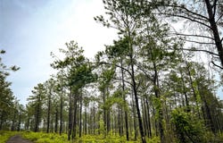 4 CR 257, Jasper, TX 75951