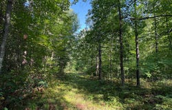 Klice Road, Willow River, MN 55795
