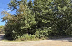 Ash Street, Lupton, MI 48635