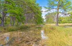 950 River Road, Utopia, TX 78884