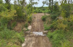 James Rd, Gilbertown, AL 36908