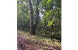 NE 83rd Ave, Old Town, FL 32680