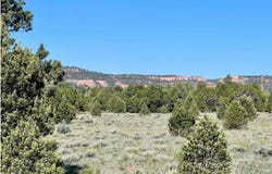 Buttonwood Drive lot: 15, Ramah, NM 87321