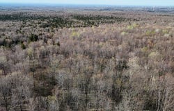 E Pinnacle Road W, Bellmont, NY 12920