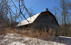 Lexington, NY 12492