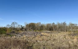 385 Vanarsdale Road, Pickens, MS 39146