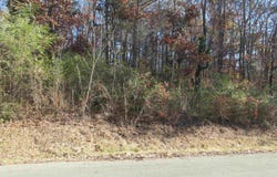 27 Sumner Drive, Scottsboro, AL 35769