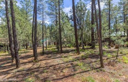 2861 W Young, Show Low, AZ 85901