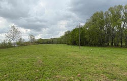 LTS 42-48,51,52 CHAPARRAL(OFF TOM BAKER RD) Ln, Clifton, TN 38425