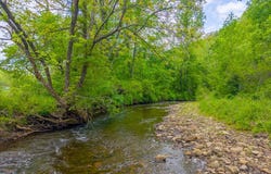1168 Carl Slagle Road, Franklin, NC 28734