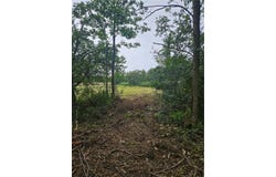 Bailey Rd, Groveland, NY 14462