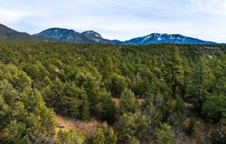 Gallina Canyon, Valdez, NM 87571