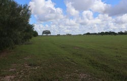 CR 2800, La Sara, TX 78580