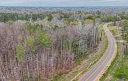 Andrew Chapel Road, Brandon, MS 39047