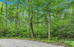 5400 WILD BERRY TRAIL, TRAVERSE CITY, MI 49685