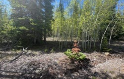 44 Wilderness Rd, Walden, CO 80480