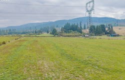 Upper Camp Creek, Springfield, OR 97478