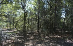 32 ACRES APLIN Road, Crestview, FL 32539