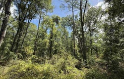NE Nixon Way, Madison, FL 32340