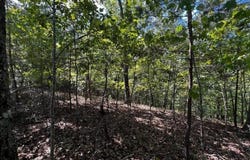 1407 Foxhound Trail NE, Ranger, GA 30734