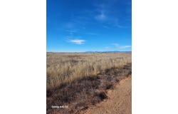Shetland Street, Moriarty, NM 87035
