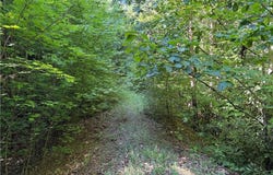 Casey Mountain Road lot: 222, Purlear, NC 28665