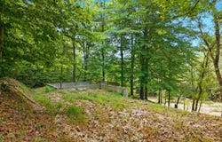 4931 N Fork Road, Stanton, KY 40380