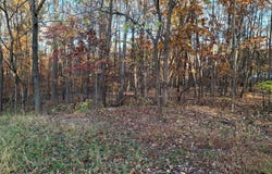80 LIGHTNING Trail, FAIRFIELD, PA 17320